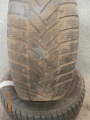 SZ0229 (2)
